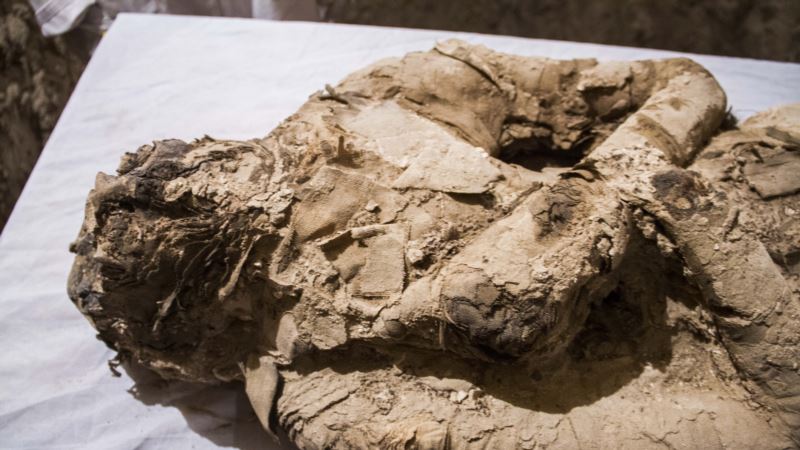 Discovery of Two Ancient Tombs Announced in Egypt