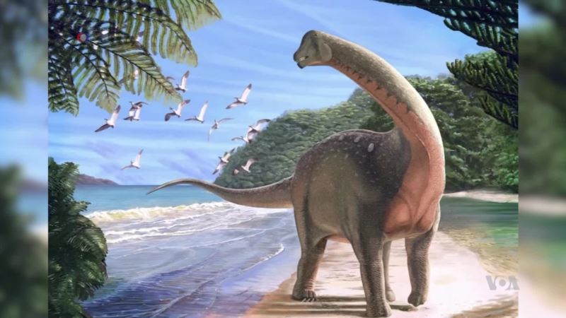 New Dinosaur Species Discovered in Egyptian Desert