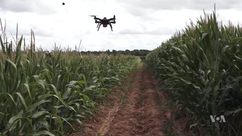 Drones Can Help Farmers Grow Healthier and More Abundant Crops