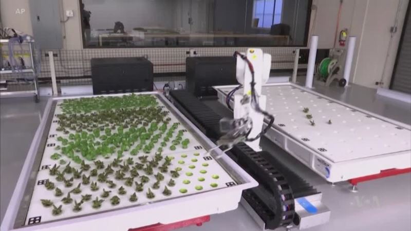 Robotic Farm Promises Cheap Local Produce