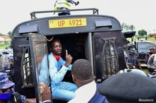 Ugandan presidential candidate Robert Kyagulanyi also known as Bobi Wine sits inside a police vehicle in Luuka district,…