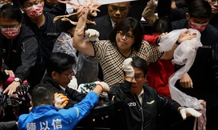 Lawmakers Throw Pig Guts, Punches on Taiwan Parliament Floor