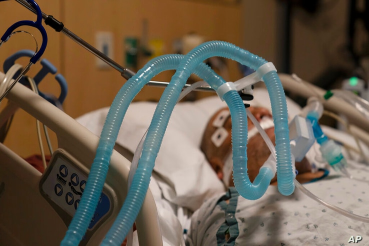 FILE - In this Nov. 19, 2020, file photo, ventilator tubes are attached to a COVID-19 patient at Providence Holy Cross Medical…