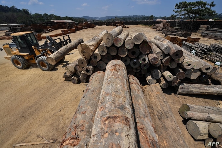 An employee uses heavy machinery to stack wood logs at the Serra Mansa logging and sawmill company, in Moraes Almeida district,…