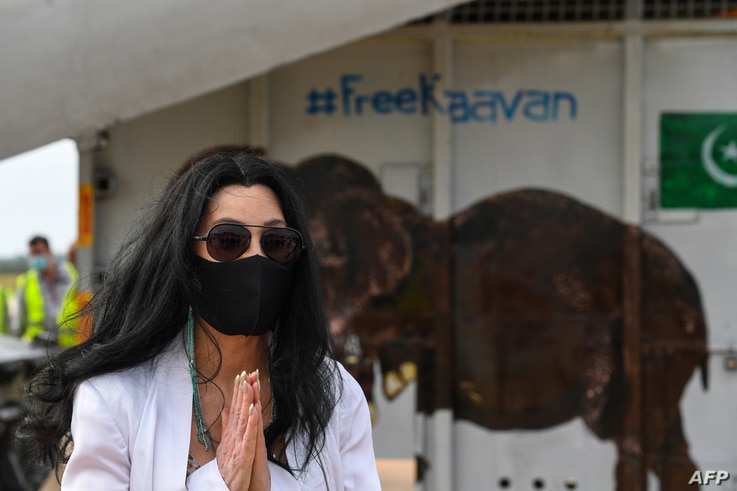 US pop singer Cher gestures in front of the crate of Kaavan the Asian elephant upon his arrival in Cambodia from Pakistan at…