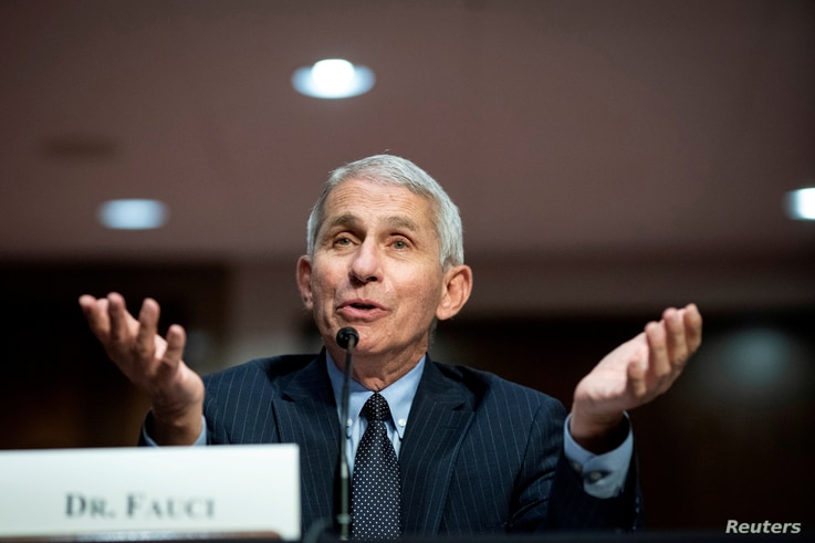 FILE PHOTO: Dr. Anthony Fauci, director of the National Institute of Allergy and Infectious Diseases, speaks during a Senate…