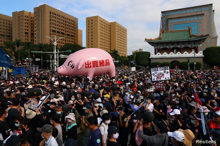 People join a protest to oppose the import of U.S. pork containing ractopamine, an additive that enhances leanness in Taipei,…