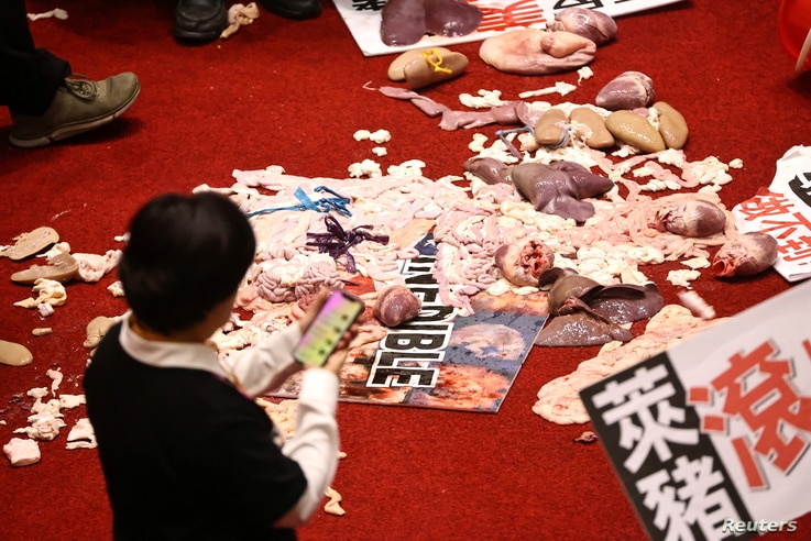 Pork intestines and other organs are seen on the ground after Taiwan lawmakers threw the parts at each other during a scuffle…
