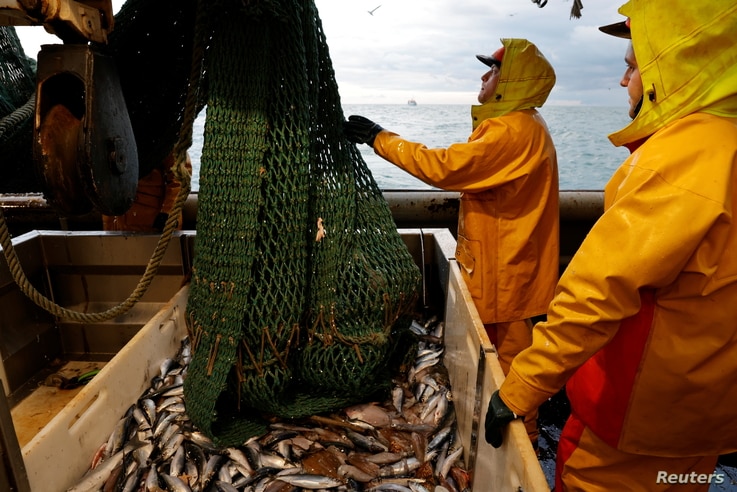 Fishermen empty a fishing net aboard the Boulogne-sur-Mer based trawler 