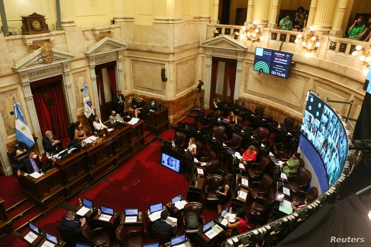 Argentina’s Senate Poised to Vote on Legalizing Abortion