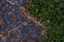 In this Nov. 23, 2019 photo, a burned area of the Amazon rainforest is seen in Prainha, Para state, Brazil. Official data show…