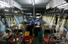 FILE - Workers collect rubber gloves at Top Glove's factory in Klang, outside Kuala Lumpur.